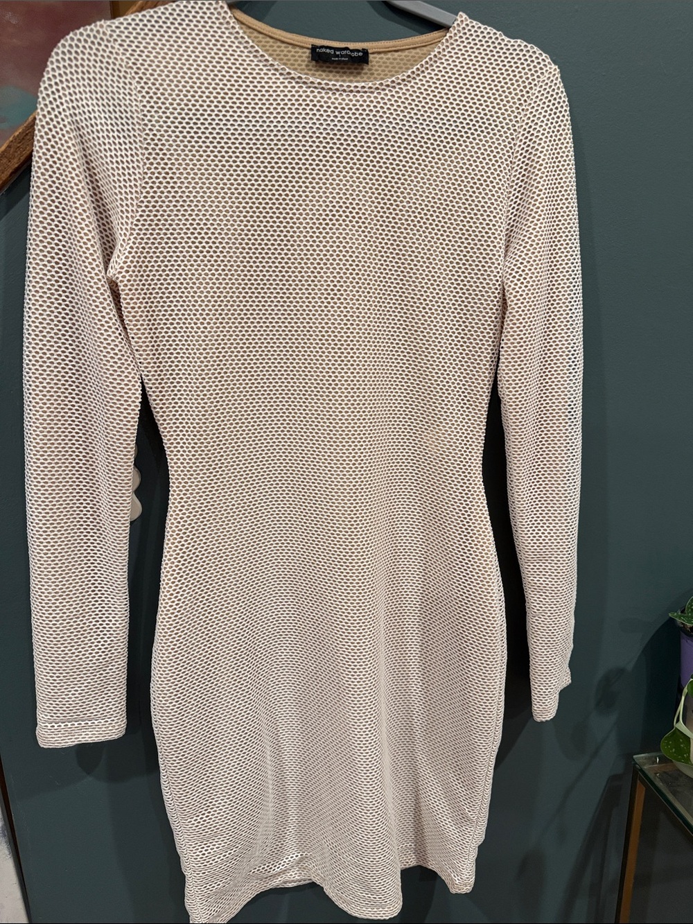 Form fitting Mesh Long Sleeve Dress in Cream by naked wardrobe